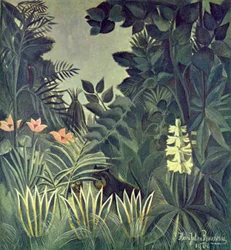 Jungle aan de evenaar